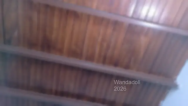 WandaDoll webcam