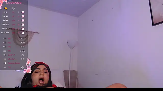 destinne_mill_ webcam