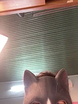 Rose_196 webcam