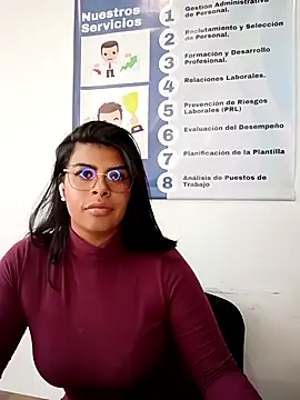 SOFIA-11_ webcam