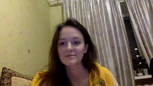 P911 webcam
