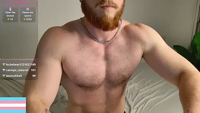 VictorTransMan webcam