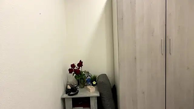 GooLana webcam