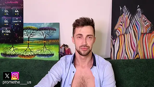 Promethe_us webcam