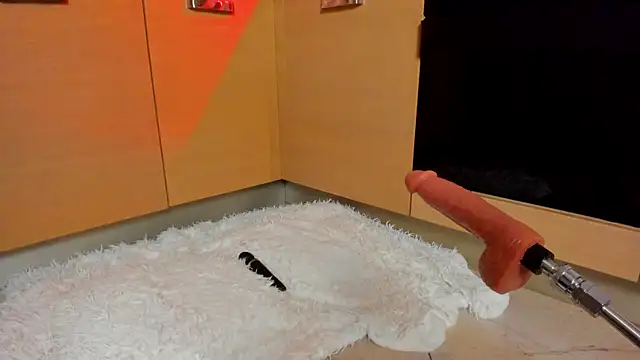 AnnLevine webcam