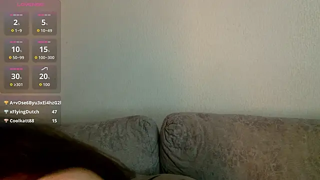 classy____ webcam