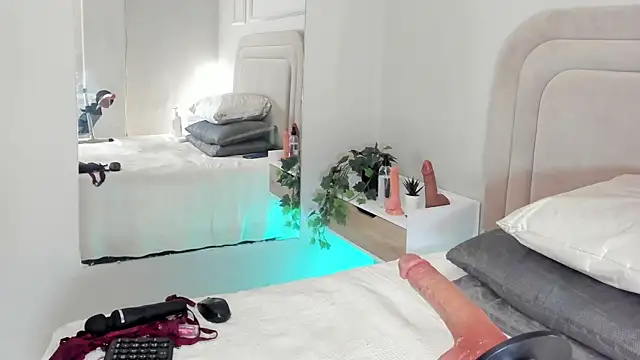 Liastarkk webcam