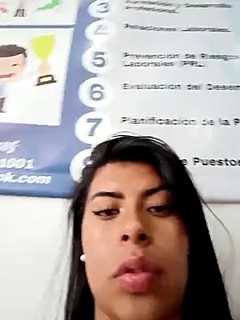SOFIA-11_ webcam