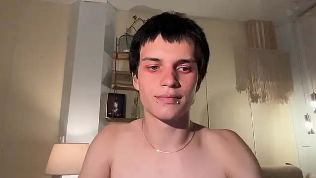 twl8vibe webcam
