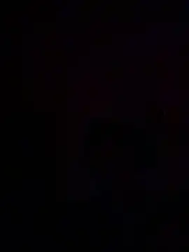 thecatfishh