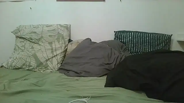 Bakala93Du34000 webcam