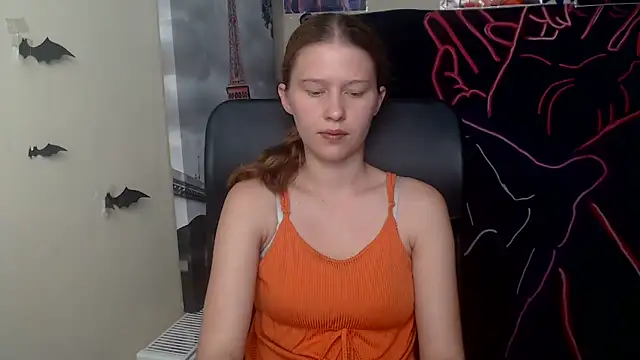 StellaCRL webcam