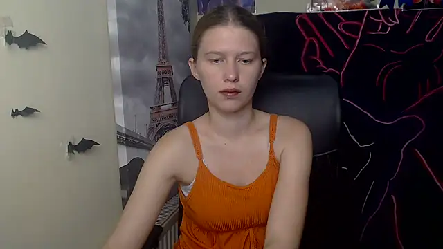 StellaCRL webcam