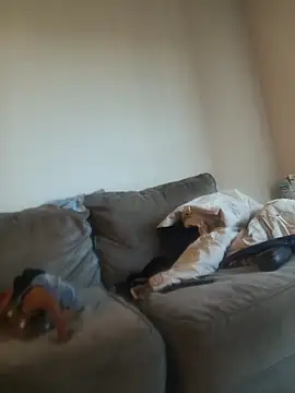 yourMasterisBored webcam
