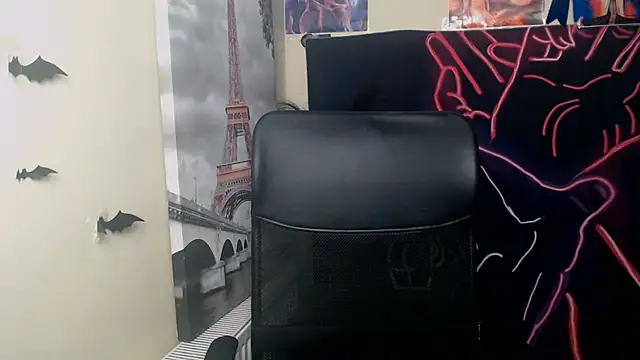 StellaCRL webcam