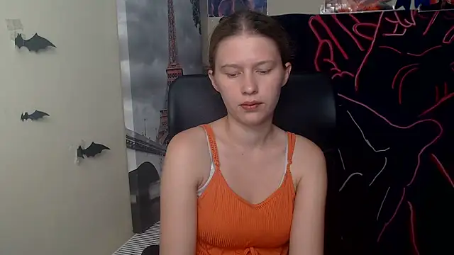 StellaCRL webcam