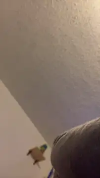 Ugh_Manux webcam