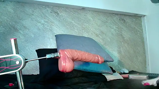Dixie_grey1 webcam