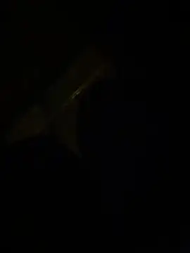 OnlyLeiLa webcam