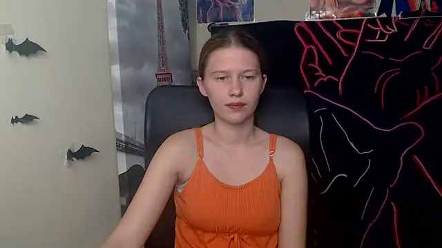 StellaCRL webcam