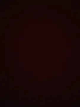 payaljaan800 webcam