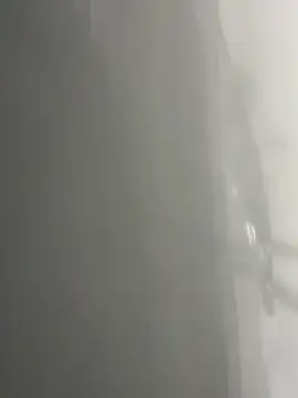 marshalefter webcam