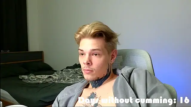 DENIS_HERE webcam