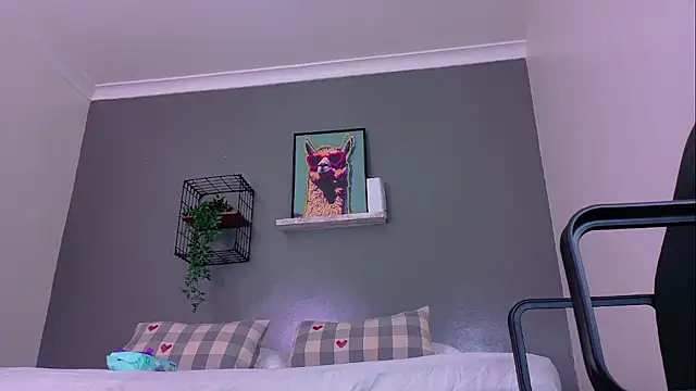 MrFox__ webcam