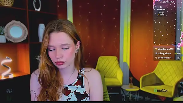eva_drive webcam