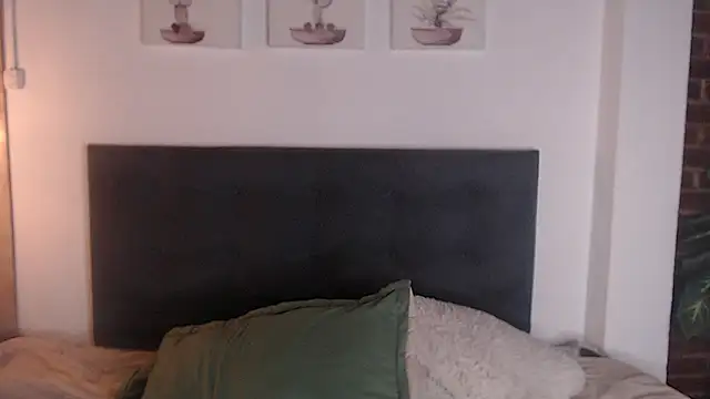 Jesve webcam