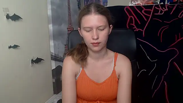 StellaCRL webcam