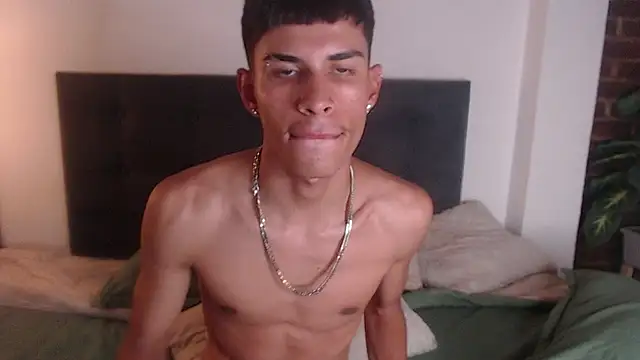 Jesve webcam