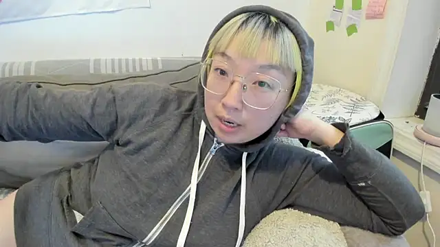 luxgray webcam