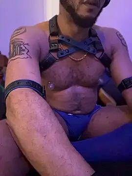 KY_Sir35 webcam