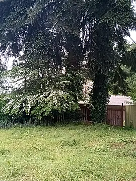 publicfun206xxx webcam