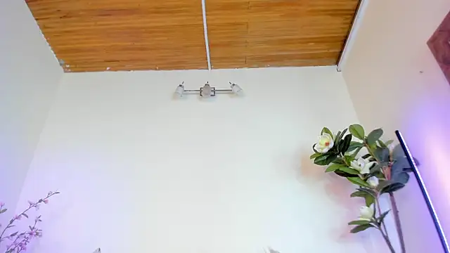 megan_shyne webcam
