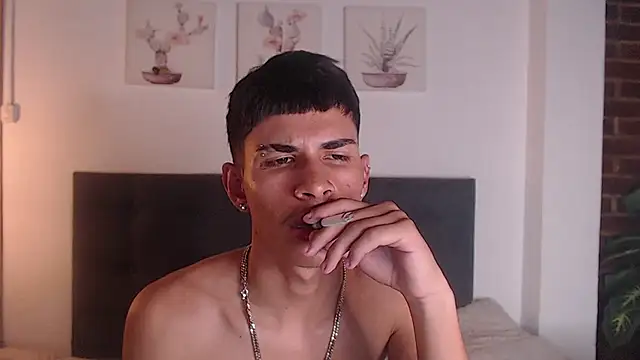 Jesve webcam