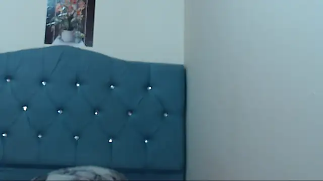 VICTORYXS1 webcam