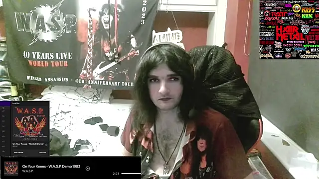 Preview of rocker_assassin_wasp_fan