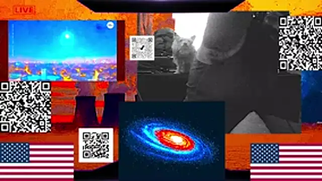 RussellTaylorLacy webcam