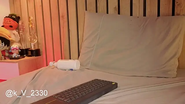 sofiesoft webcam