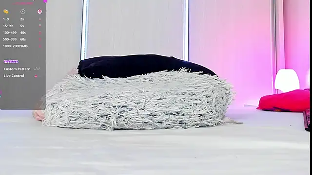 Aidasina webcam