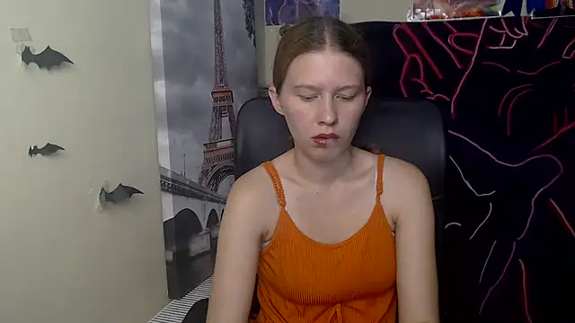 StellaCRL webcam
