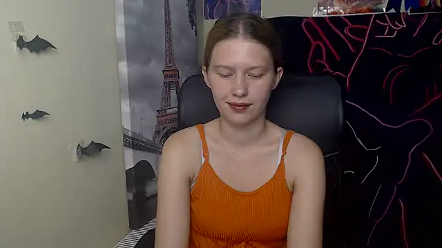 StellaCRL webcam