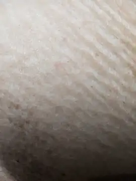 Rupali3