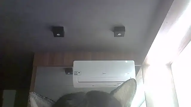 SkinnyKitten webcam