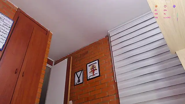 Salome-sw webcam