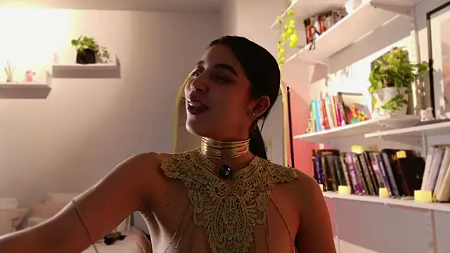 Nikol-JE webcam