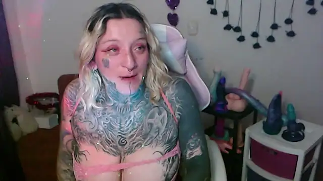 SLOPPYTITSS webcam