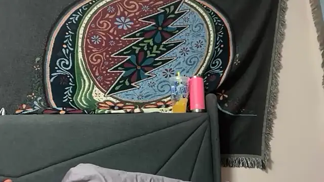 NerdyNichole webcam